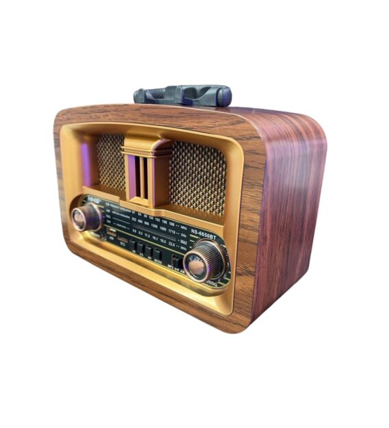 Retro Radio NS6650BT